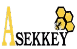 Asekkey logo